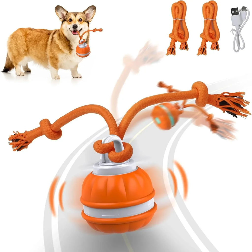 Smart Rolling Ball - Interactive Dog Toy