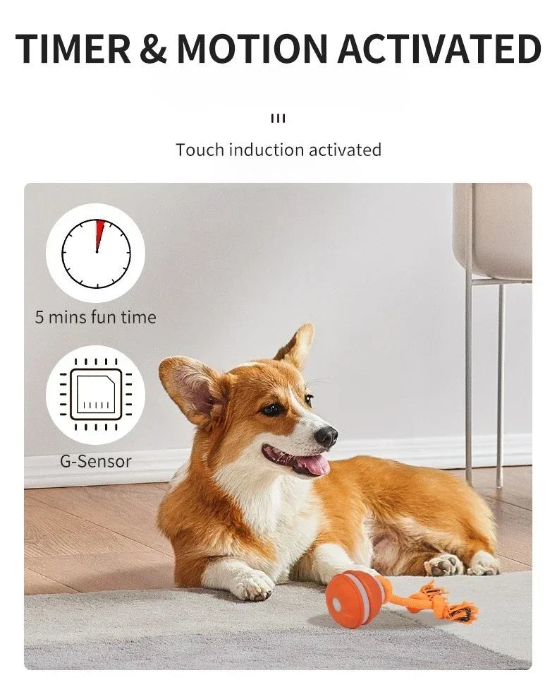 Smart Rolling Ball - Interactive Dog Toy