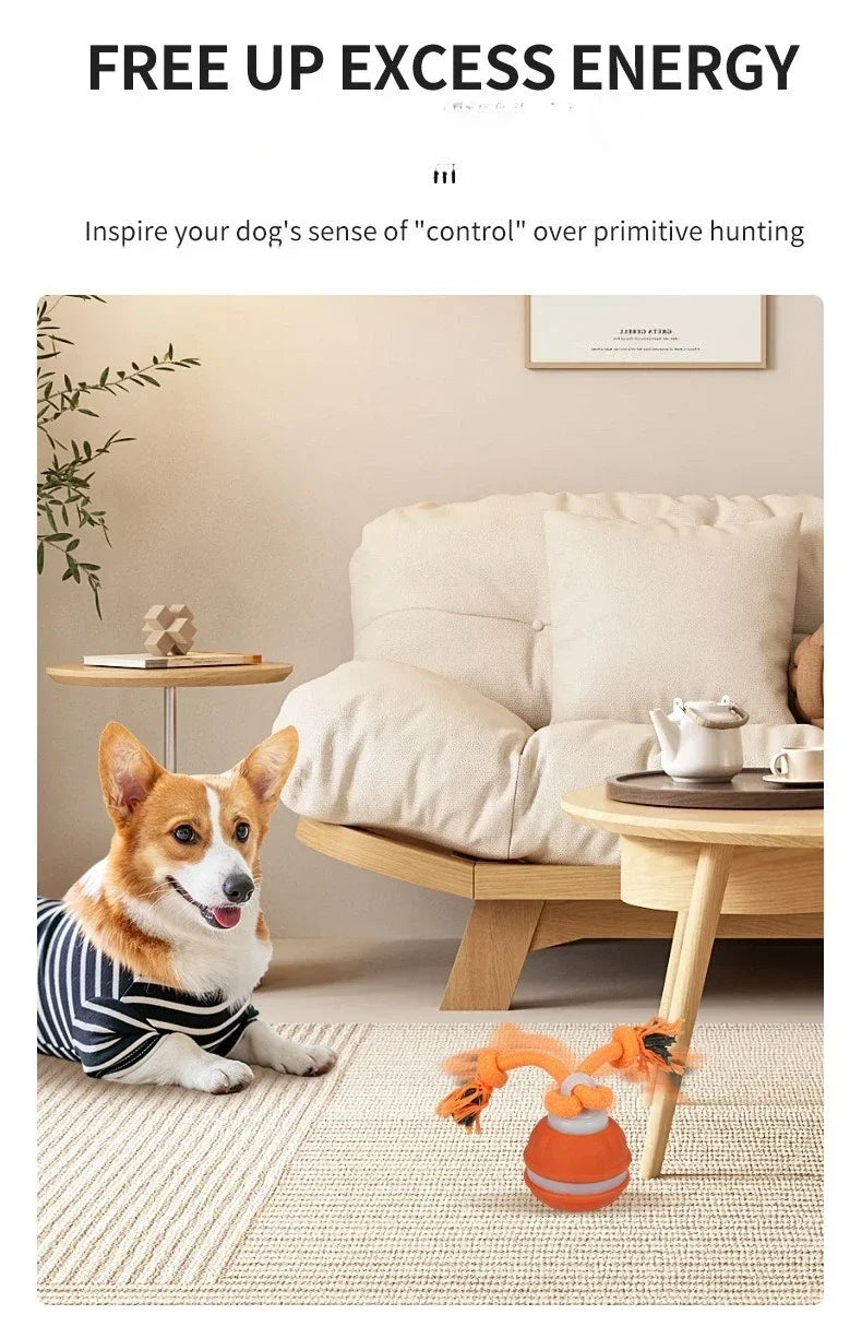 Smart Rolling Ball - Interactive Dog Toy