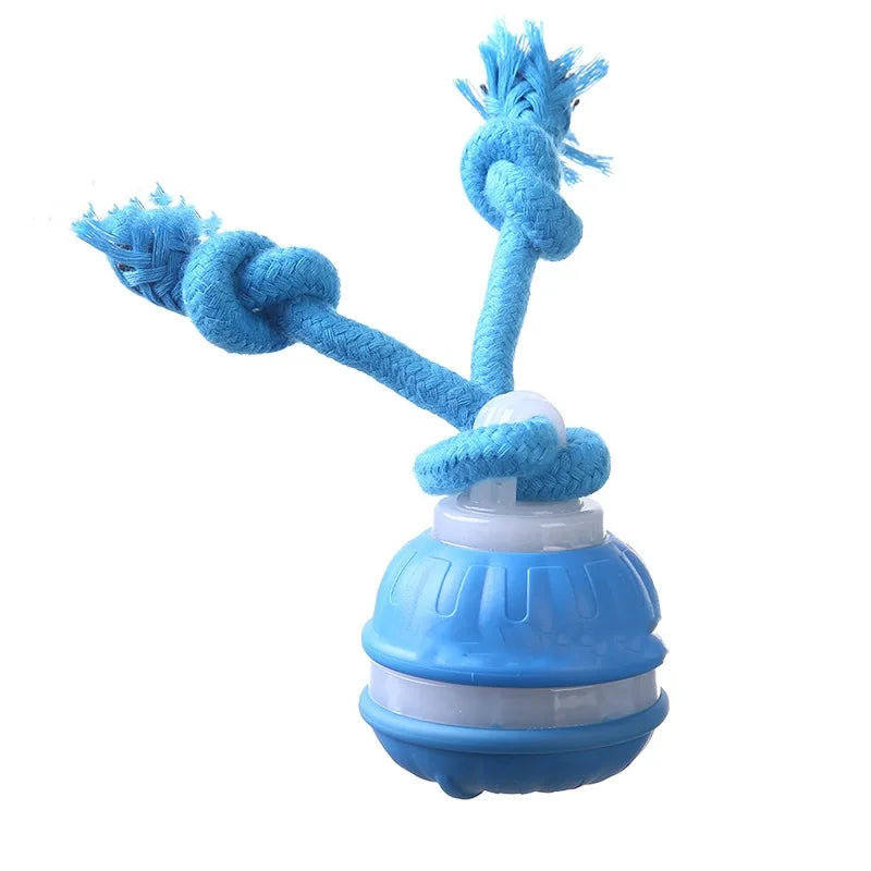 Smart Rolling Ball - Interactive Dog Toy
