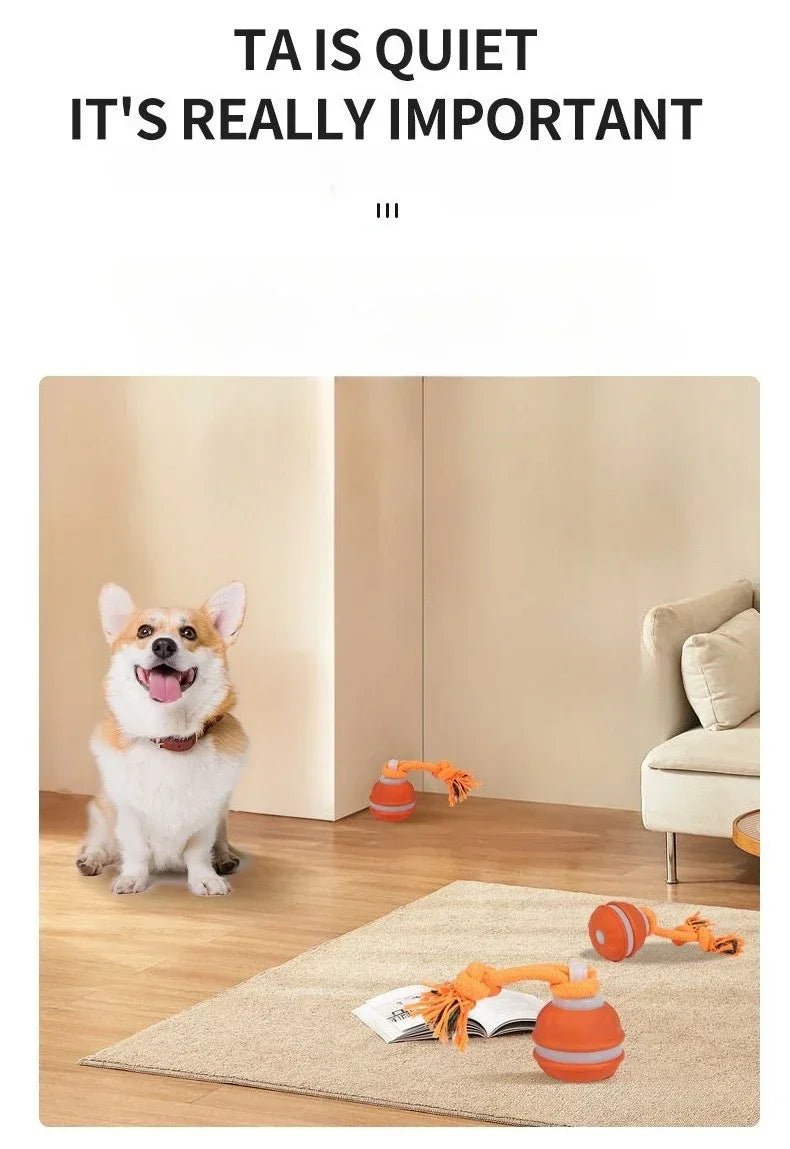 Smart Rolling Ball - Interactive Dog Toy