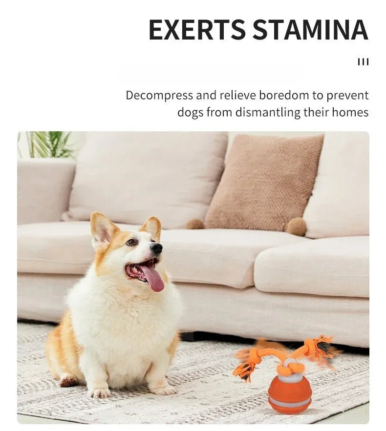 Smart Rolling Ball - Interactive Dog Toy
