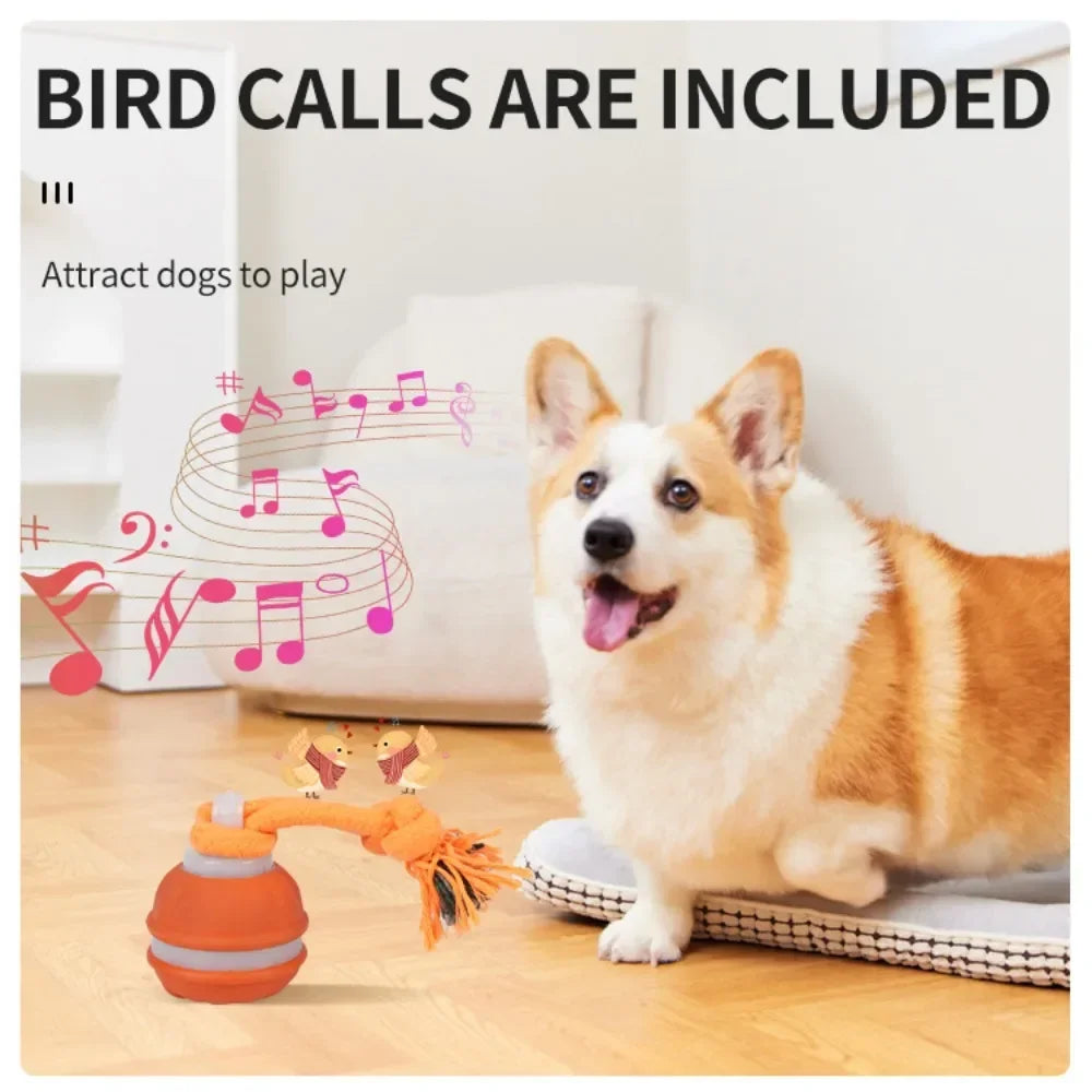 Smart Rolling Ball - Interactive Dog Toy