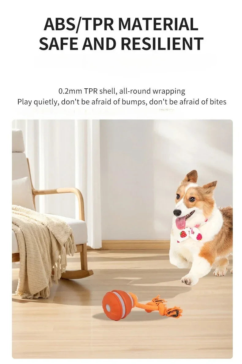 Smart Rolling Ball - Interactive Dog Toy