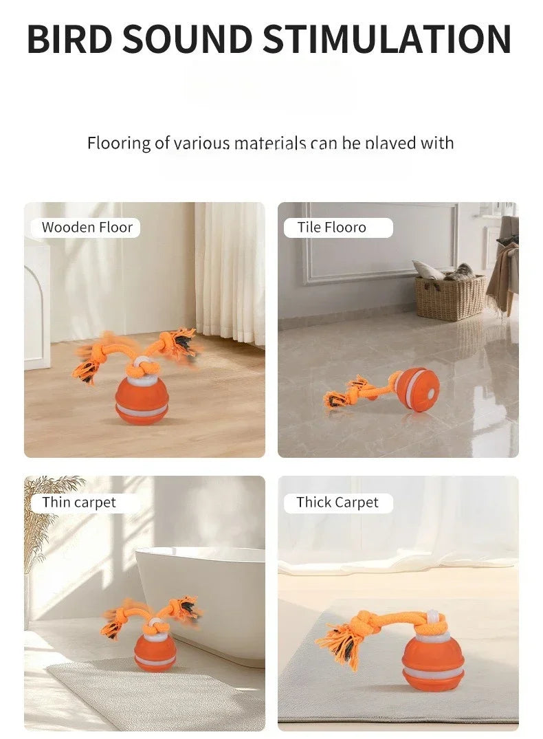 Smart Rolling Ball - Interactive Dog Toy
