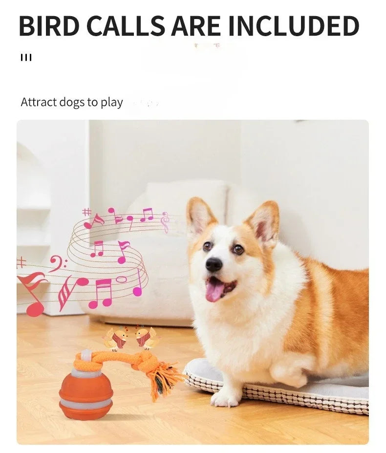 Smart Rolling Ball - Interactive Dog Toy