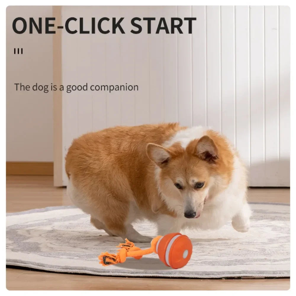 Smart Rolling Ball - Interactive Dog Toy