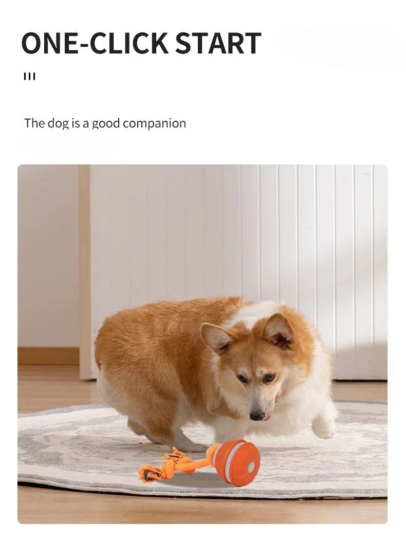 Smart Rolling Ball - Interactive Dog Toy